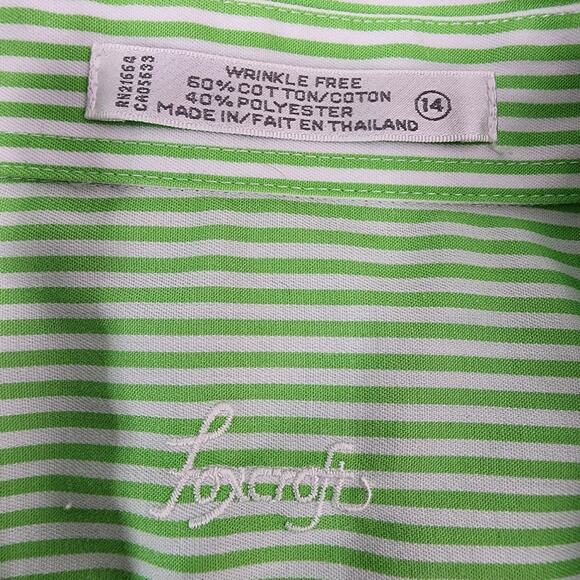 Foxcroft Womens Button Up Shirt Size 14 Striped Wrinkle Free Green Long Sleeve - Picture 7 of 8